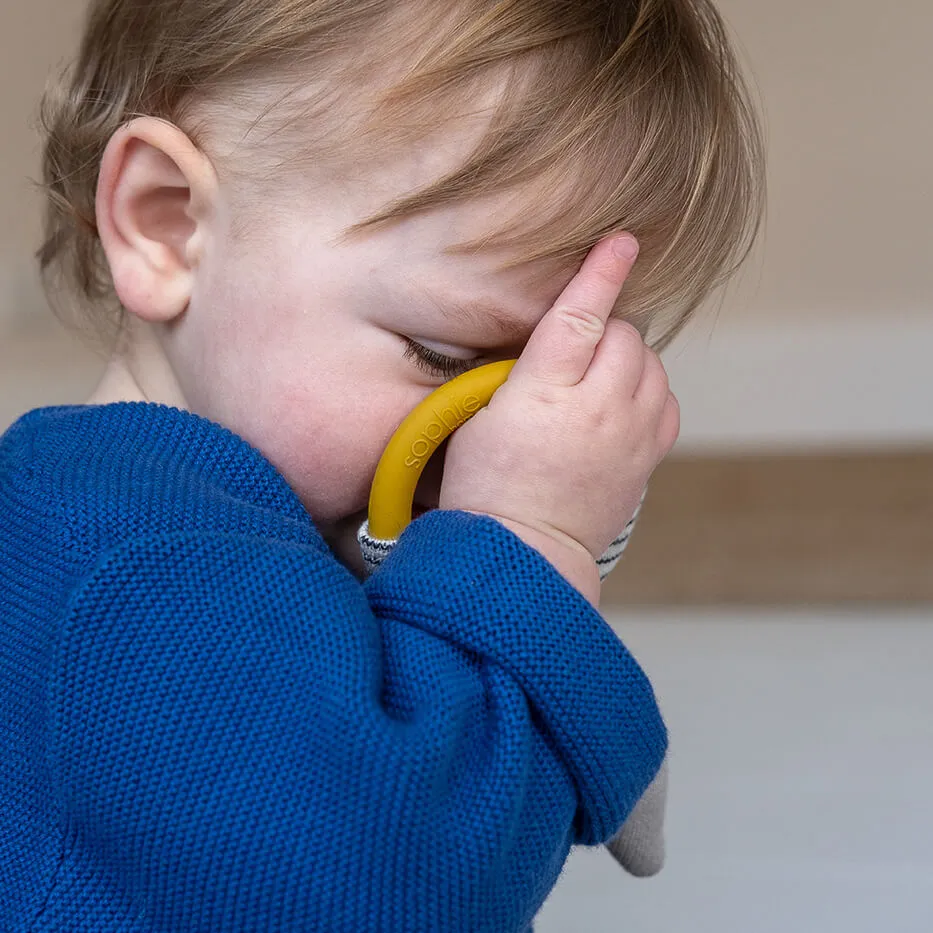 Dog Teether Rattle | Blue | Cotton & Silicone | by Sophie Home