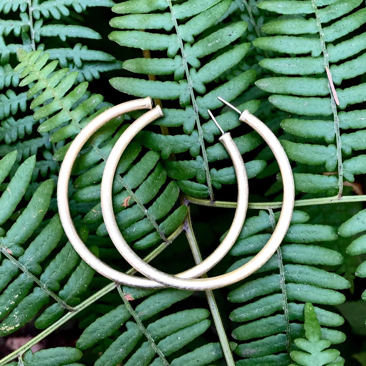 Everybody's Favorite Hoop in silver by Sheila Fajl