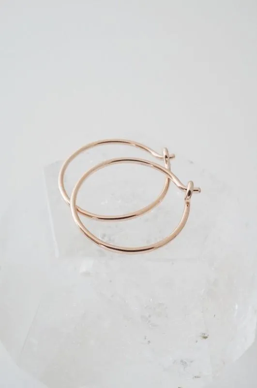 Everyday Hoops Earrings