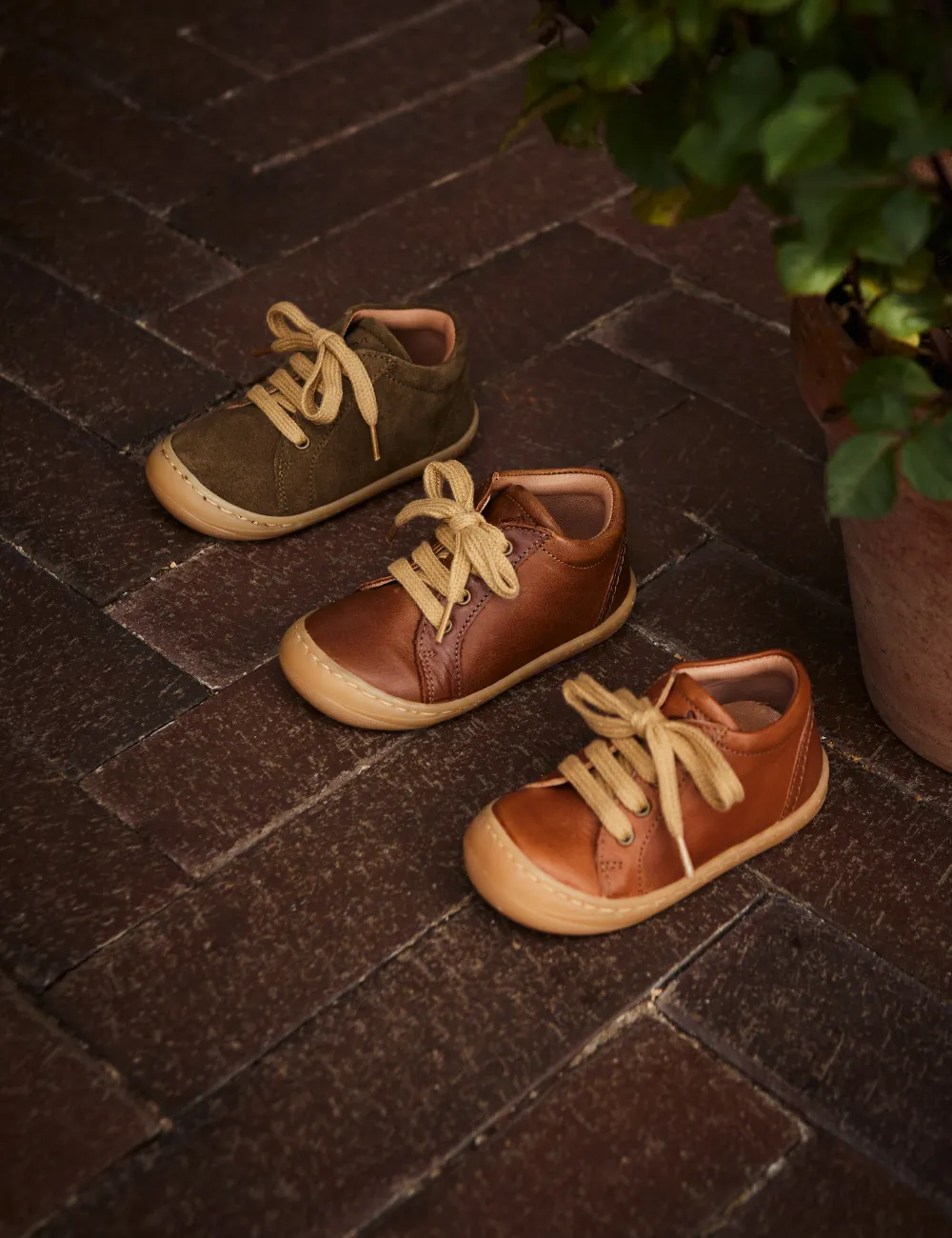 Everyday shoe Lace - Cognac