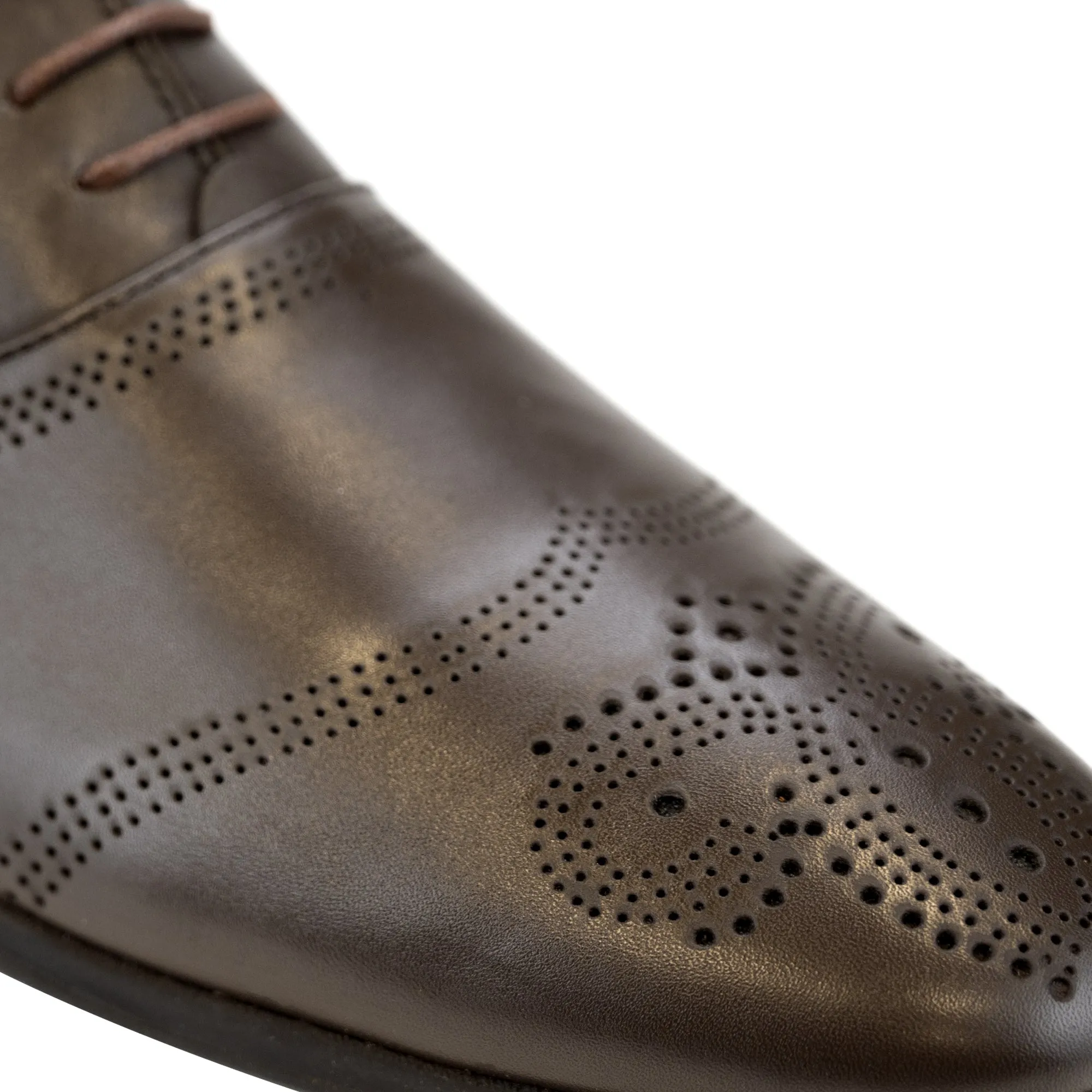 Wingtip Patterned Oxfords